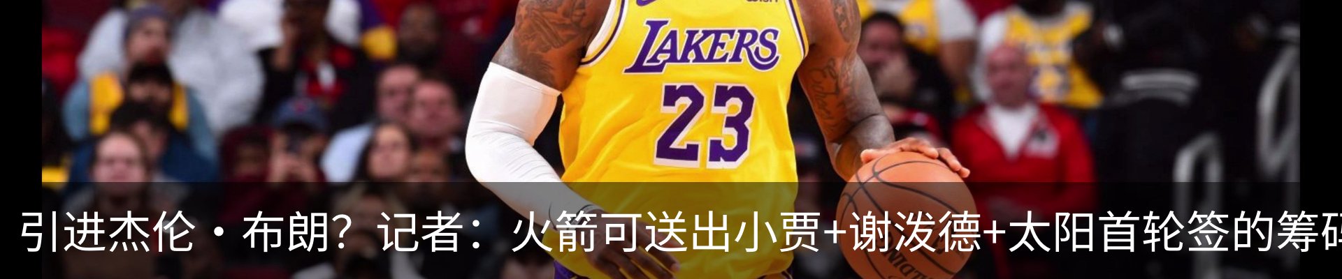 最新动态