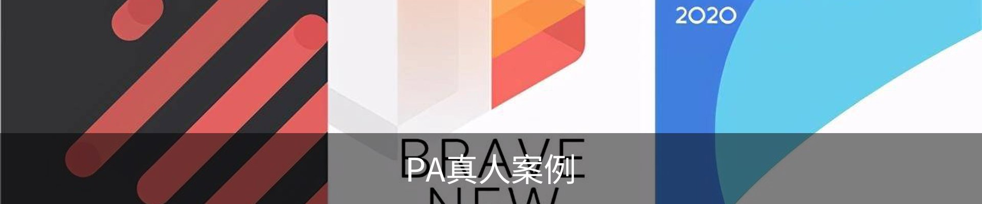 PA真人案例